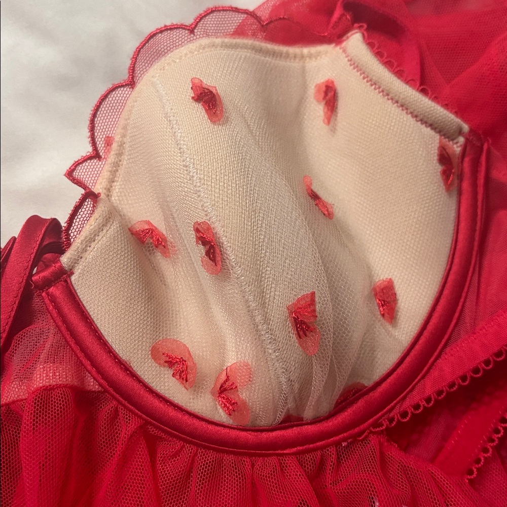 Red Lingerie - Picture 6 of 6